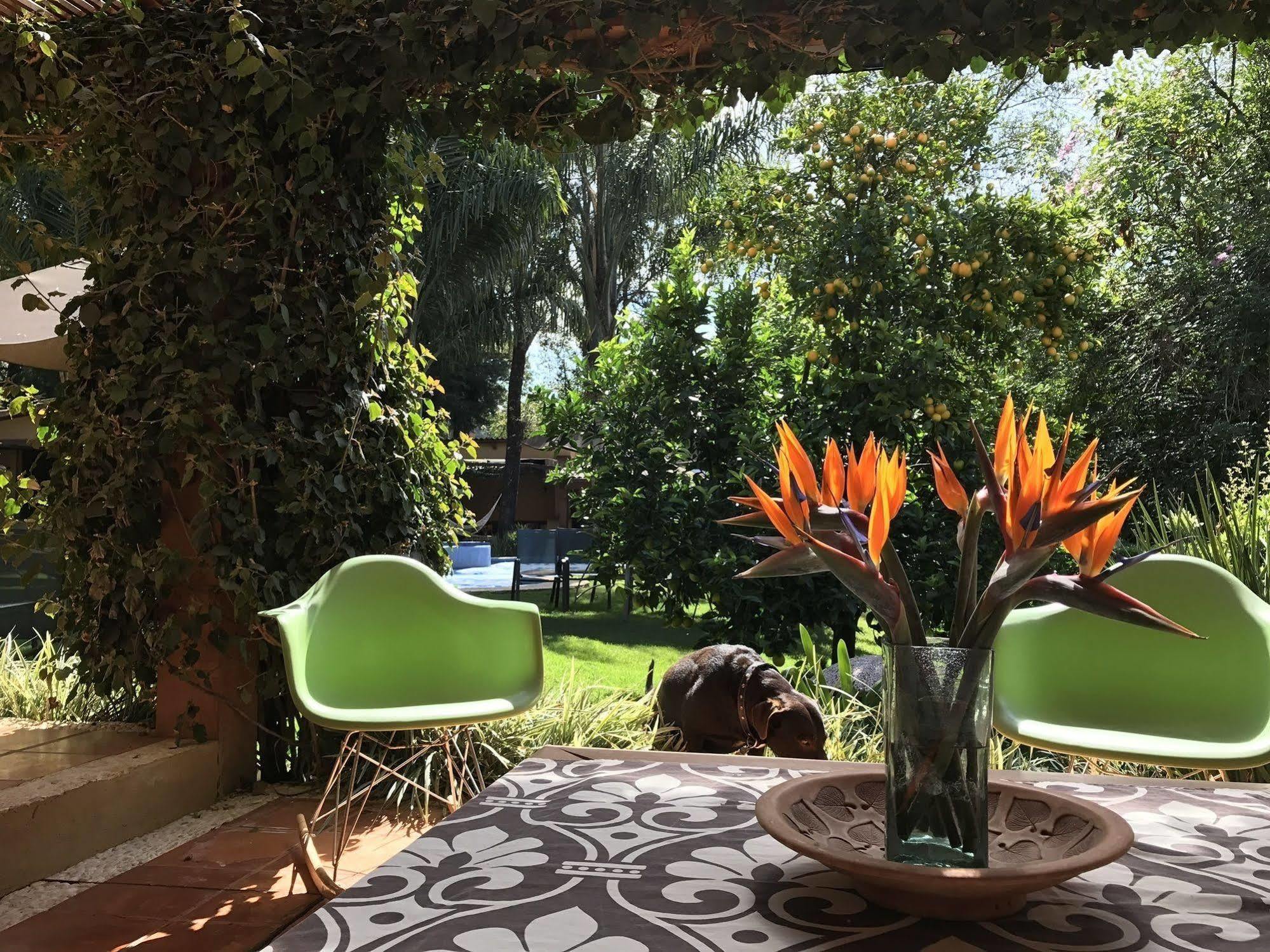 La Joya Del Viento Bed & Breakfast Valle de Bravo Dış mekan fotoğraf